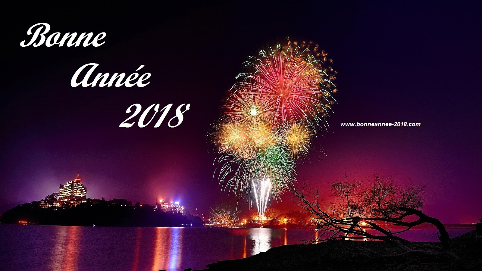 Bonne et heureuse année 2018
